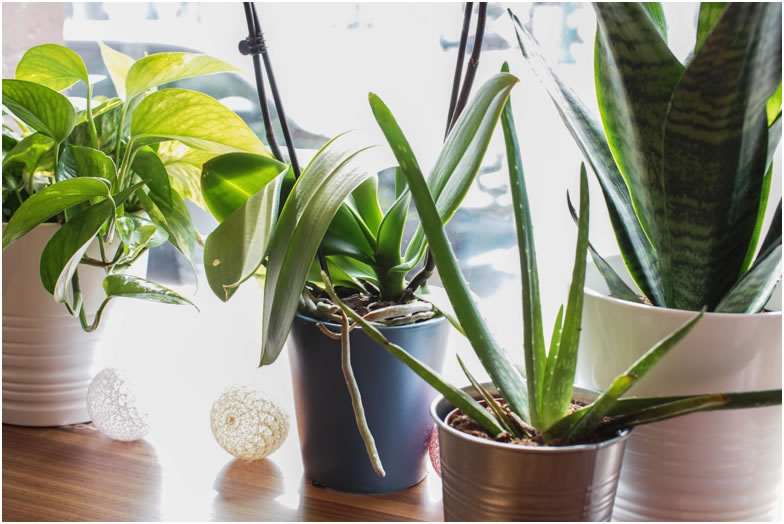 Keeping Your Office Eco-Friendly During the Summer Months